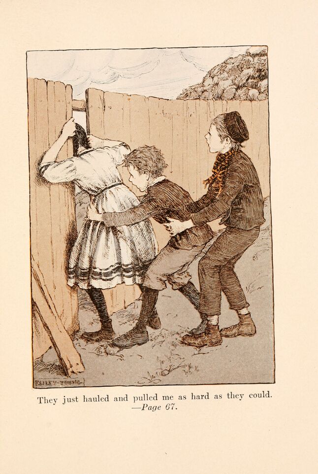 scanned image