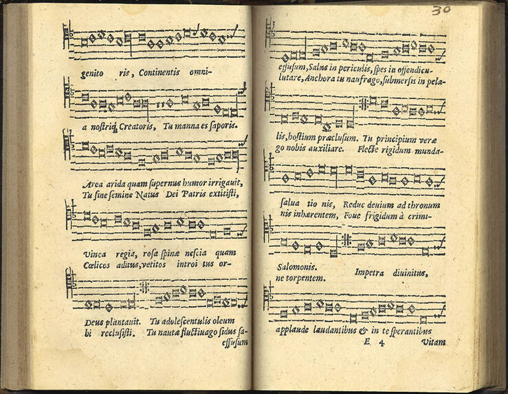 scanned image