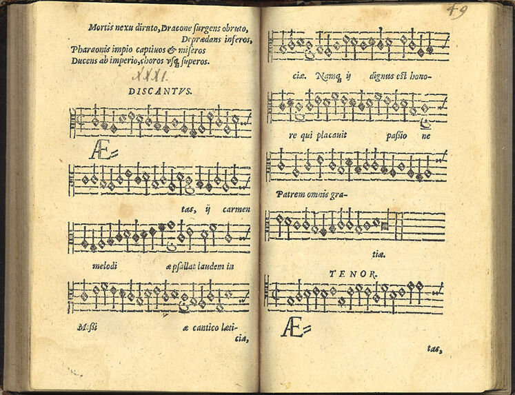 scanned image