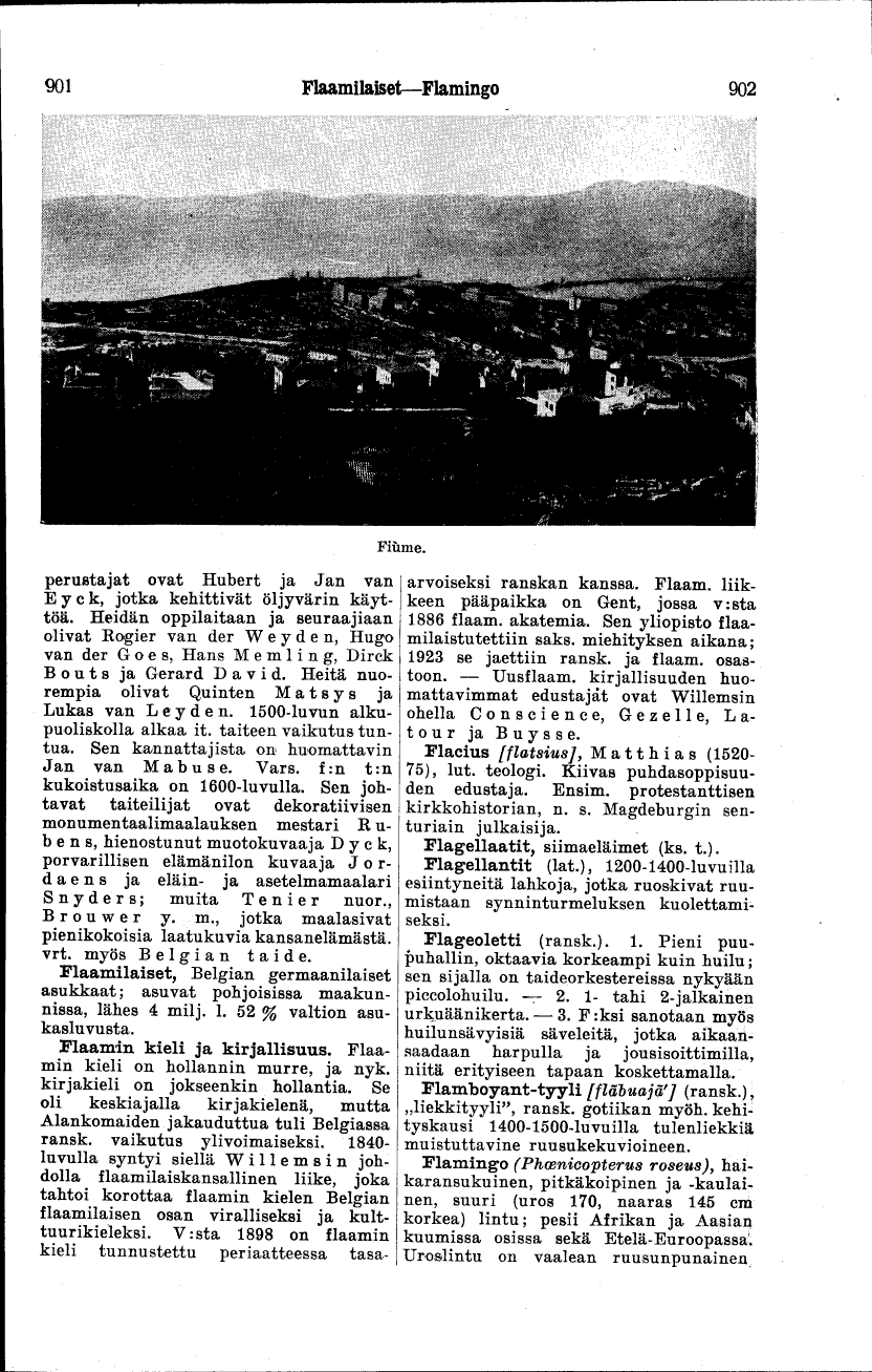 scanned image