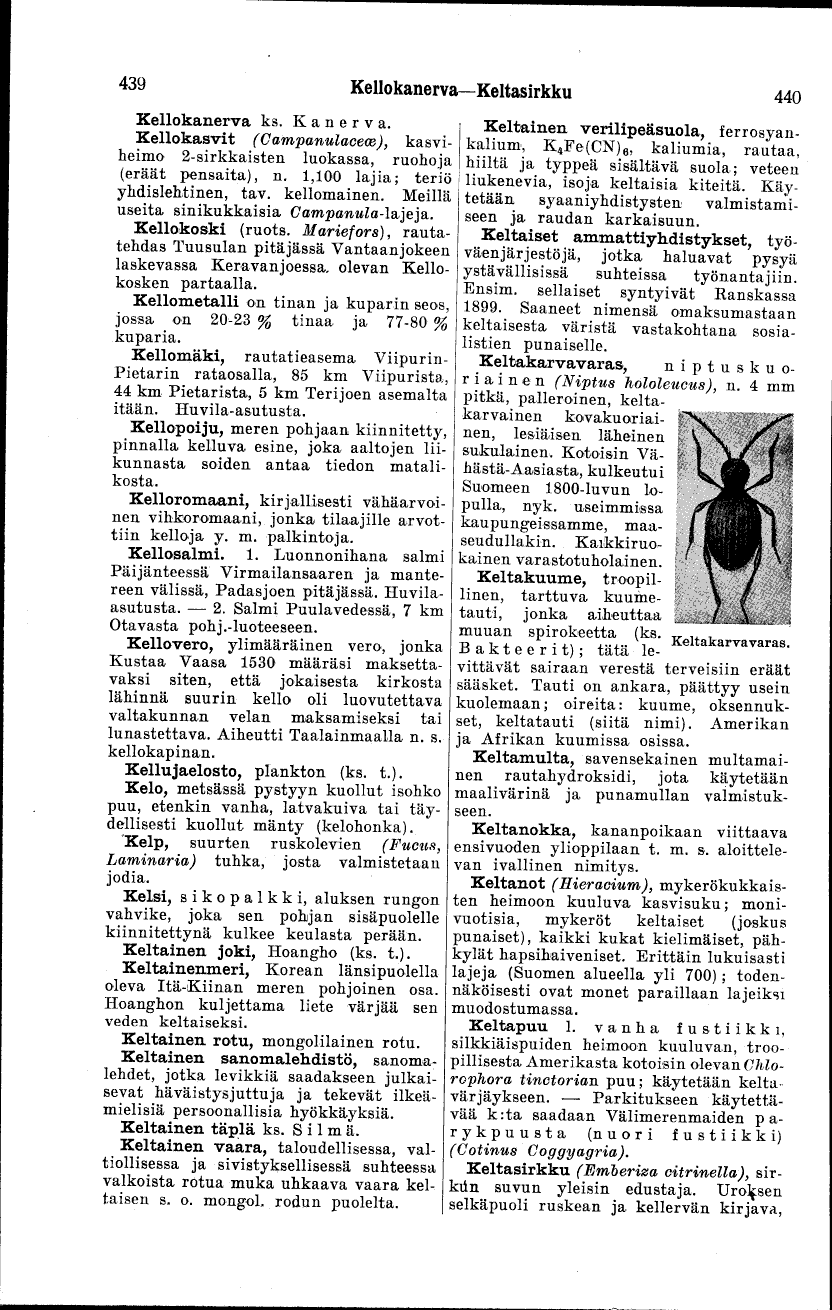 scanned image