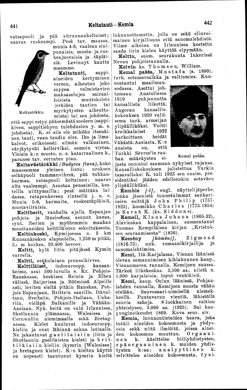 scanned image