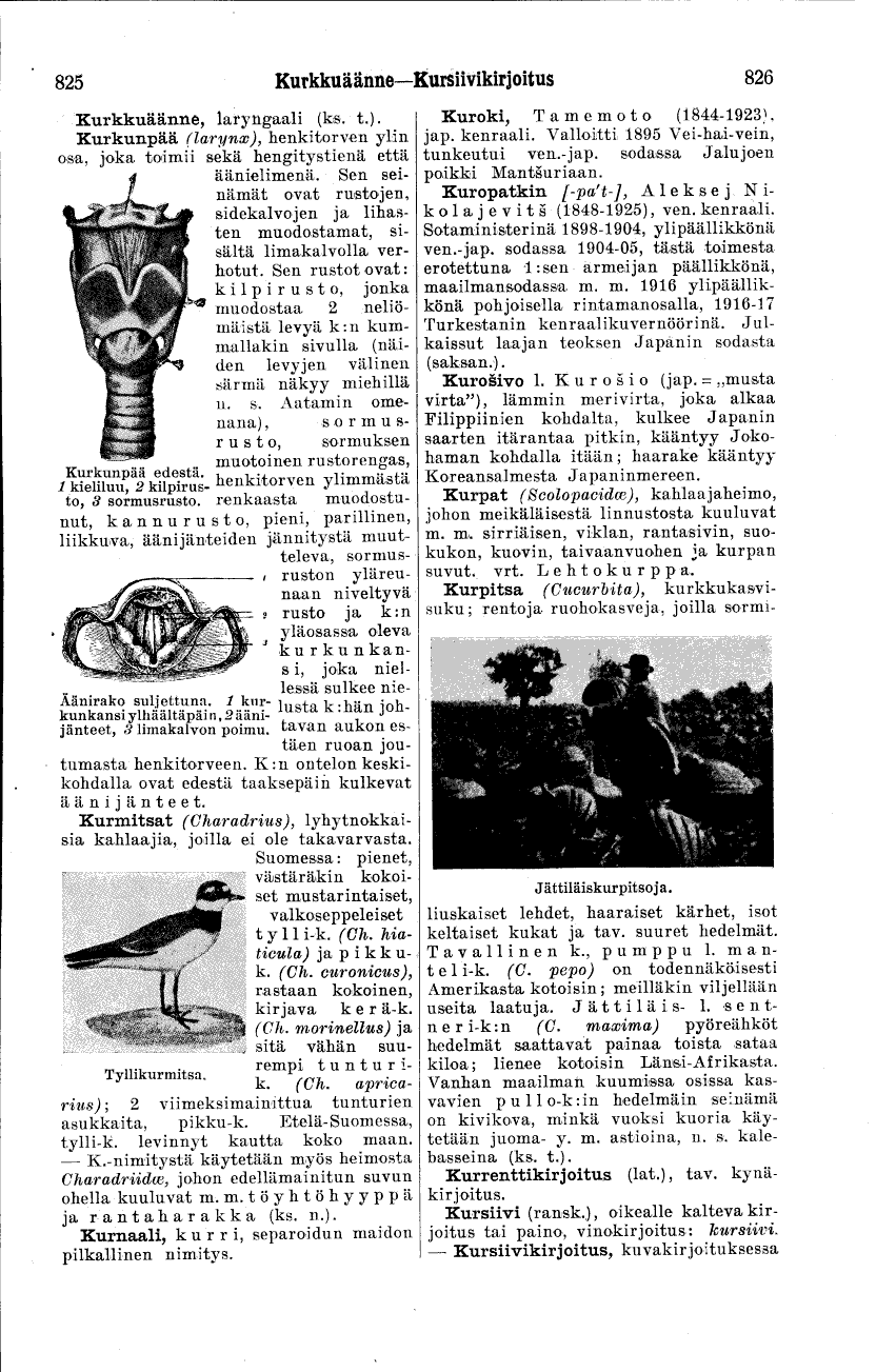 scanned image