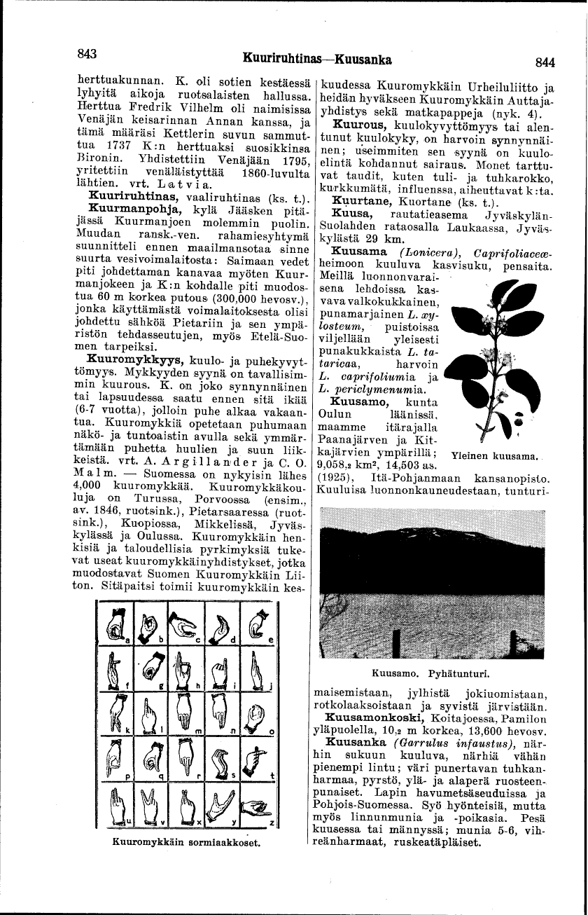 scanned image