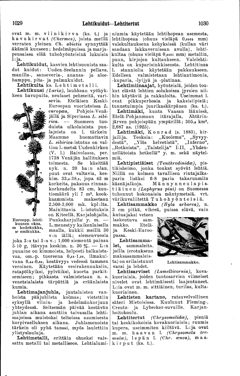 scanned image