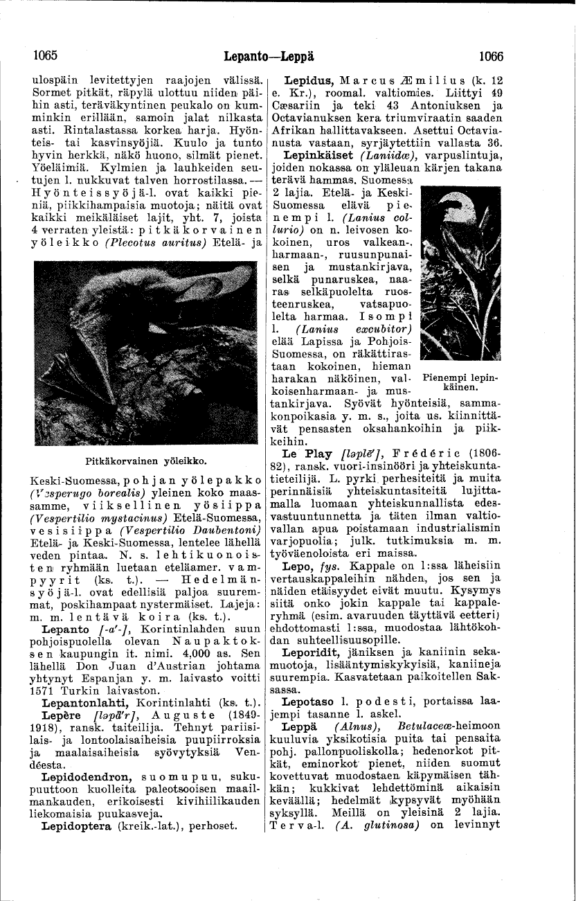 scanned image