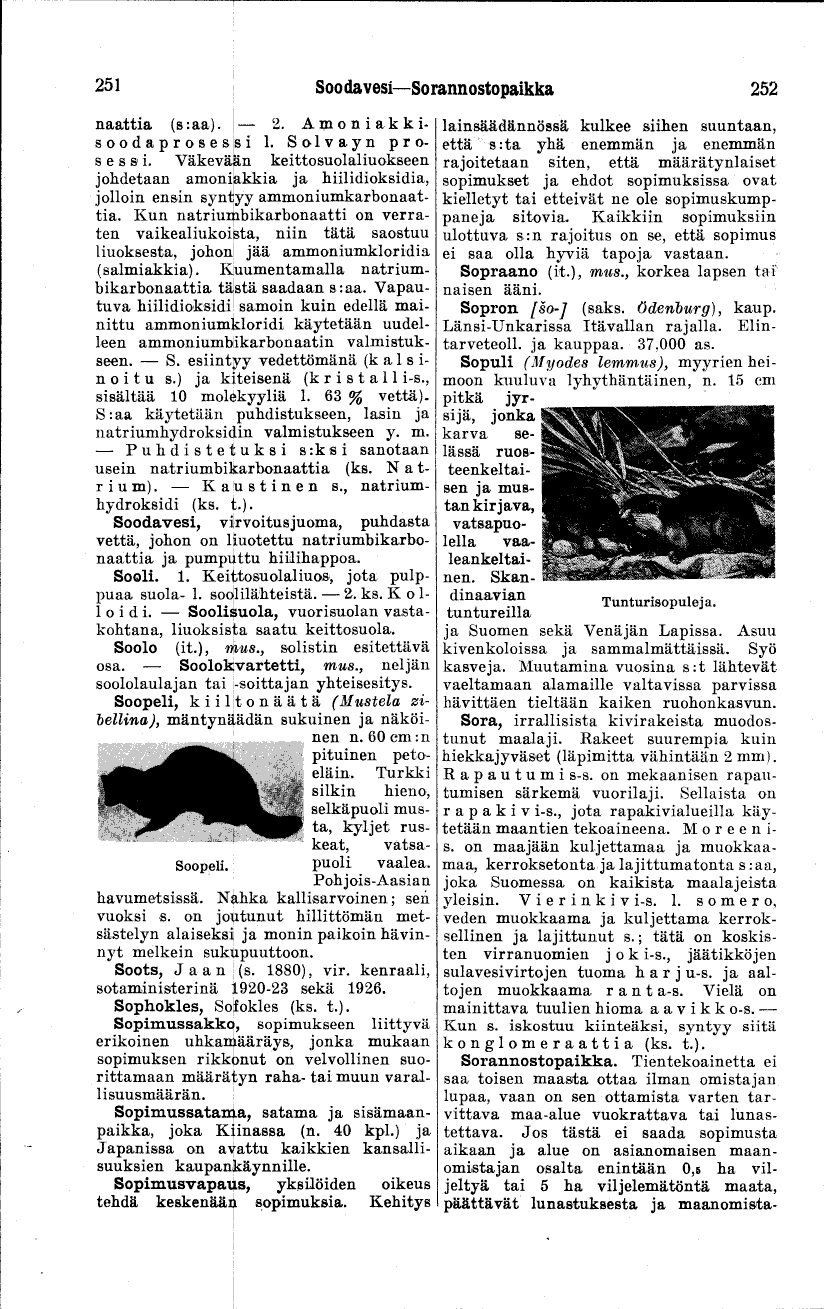 scanned image