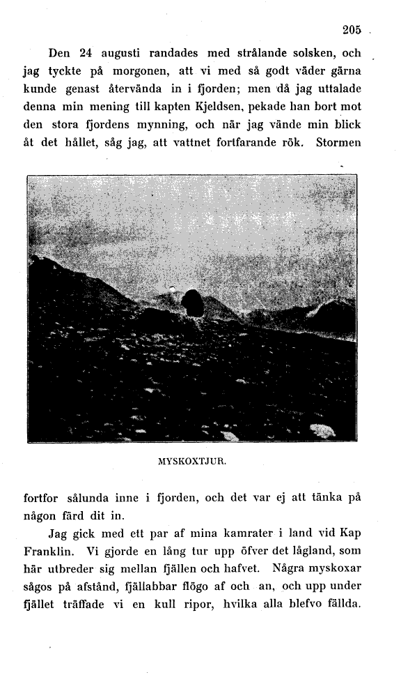 scanned image