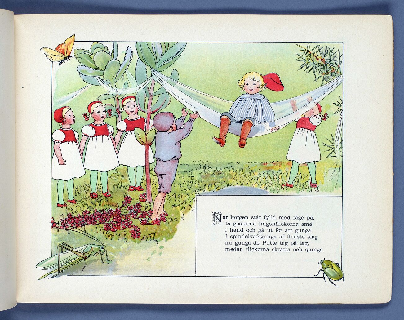scanned image