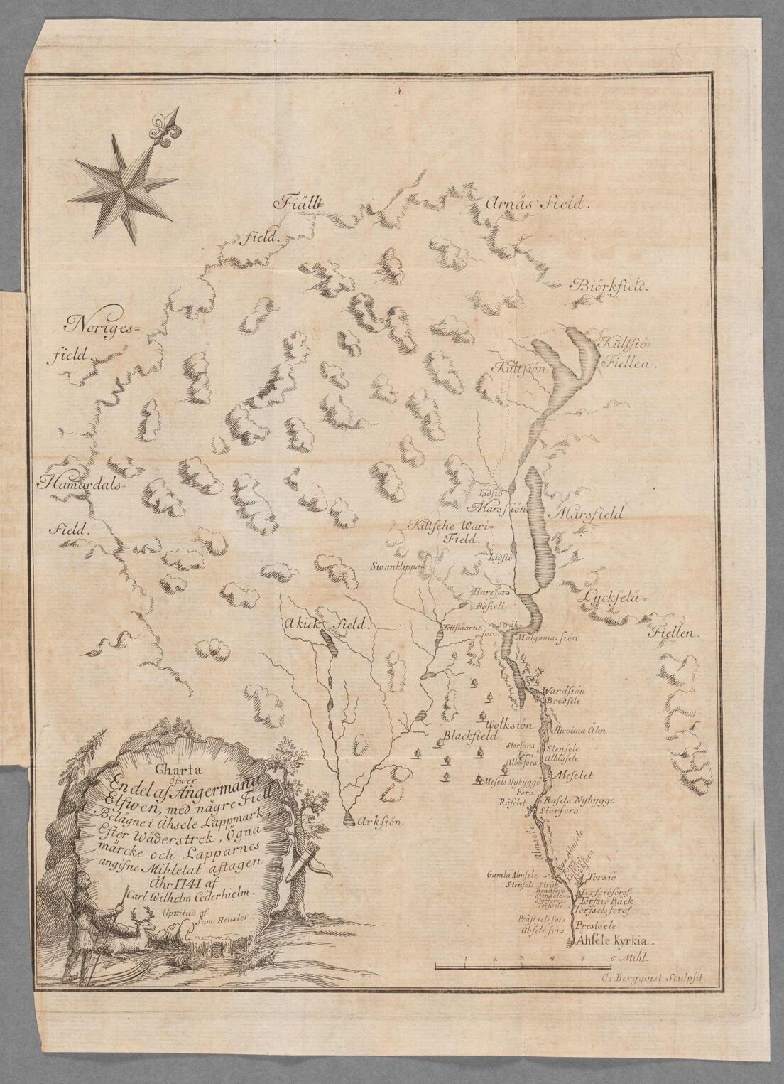 scanned image