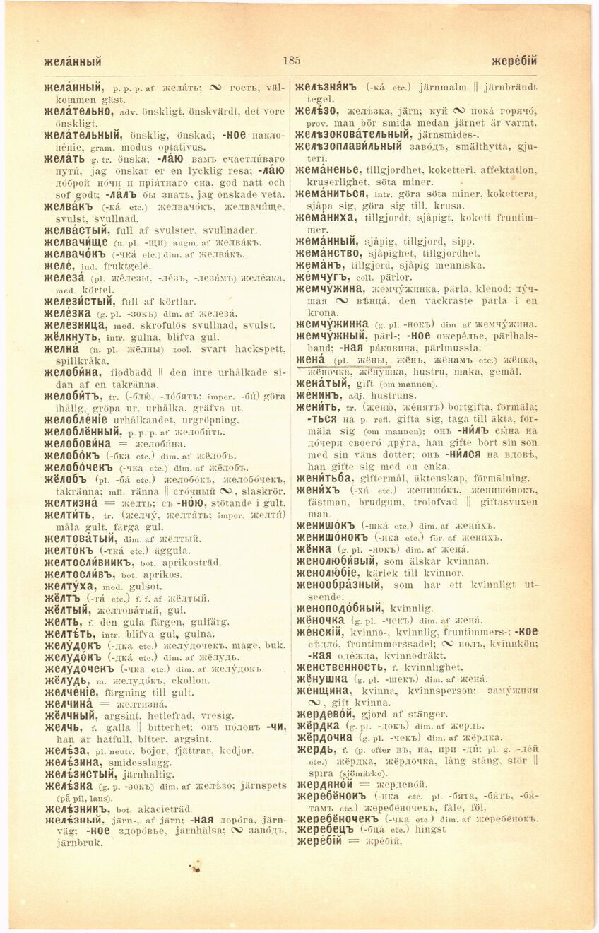 scanned image