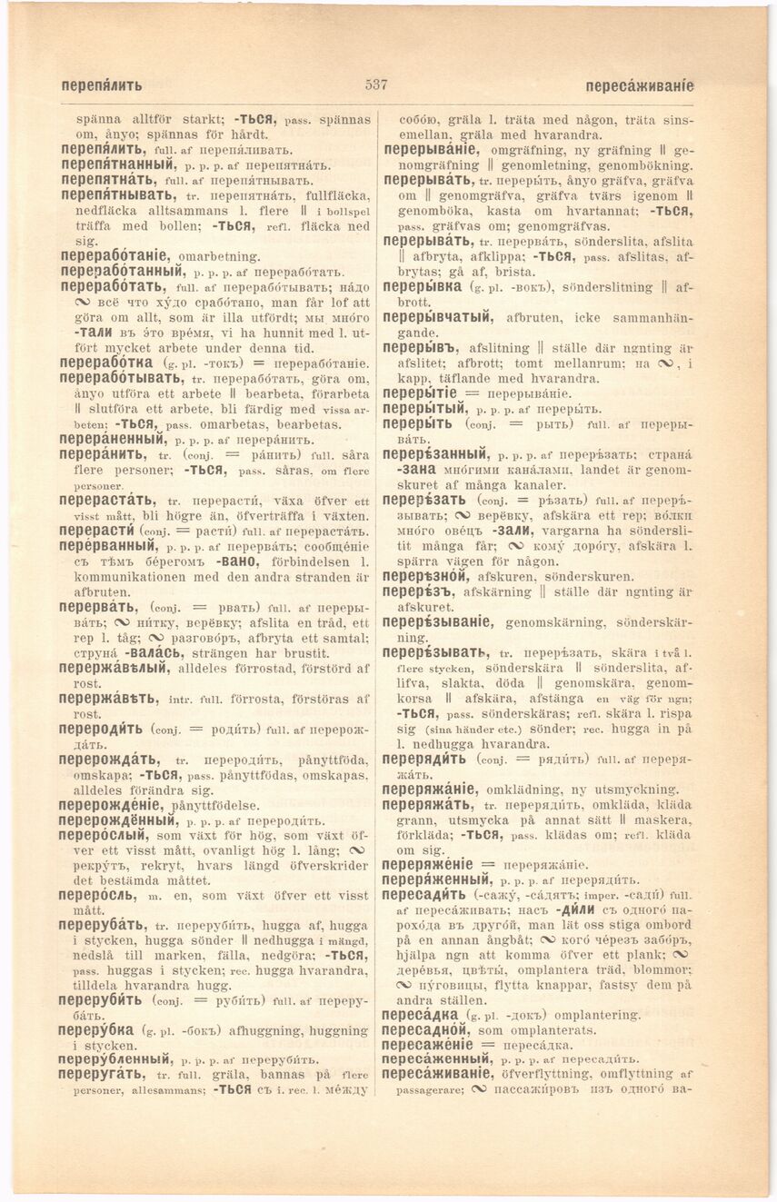 scanned image