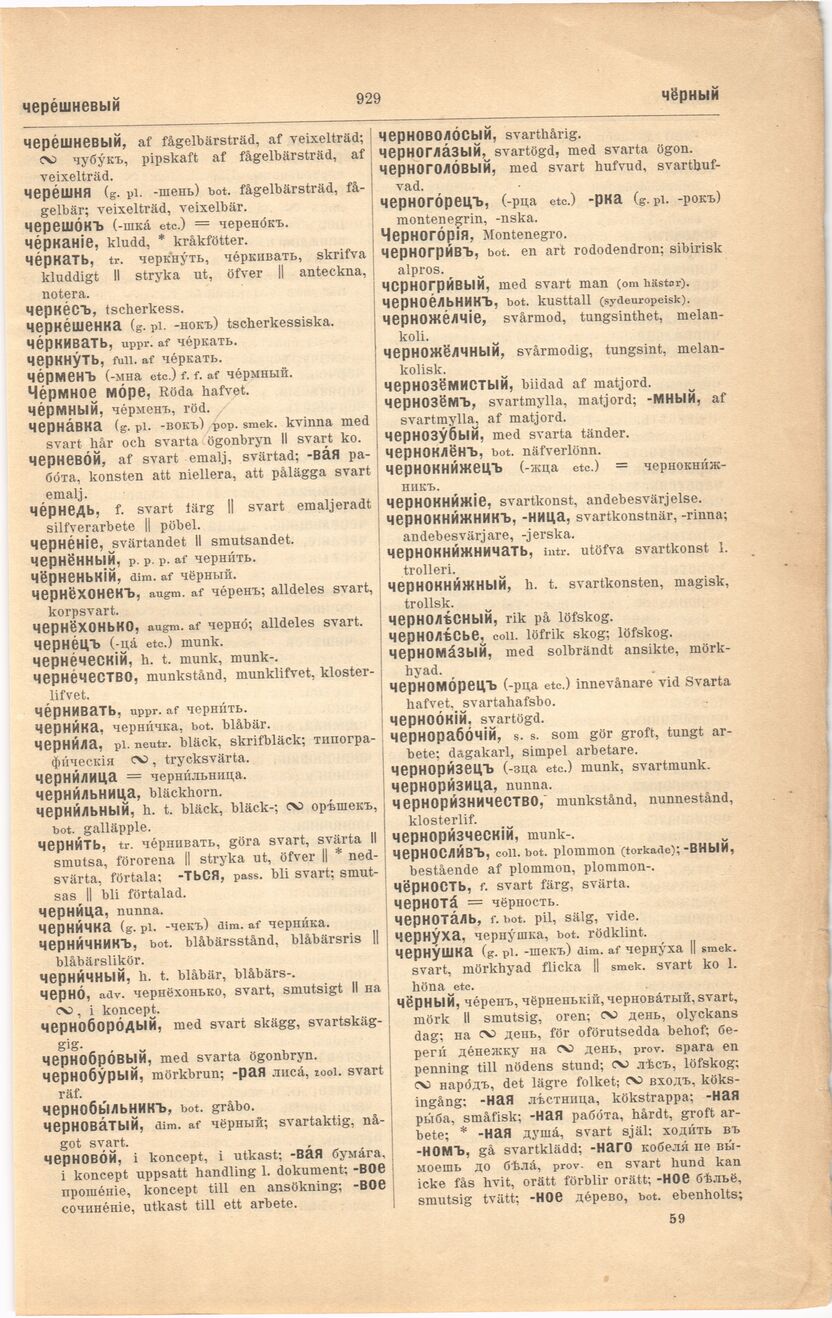scanned image