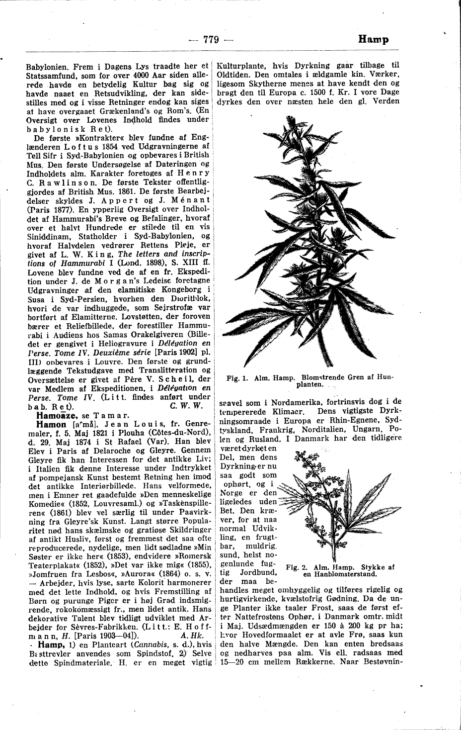 scanned image
