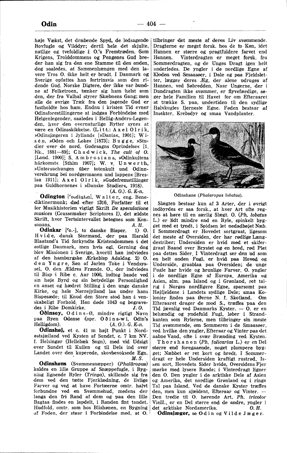 scanned image