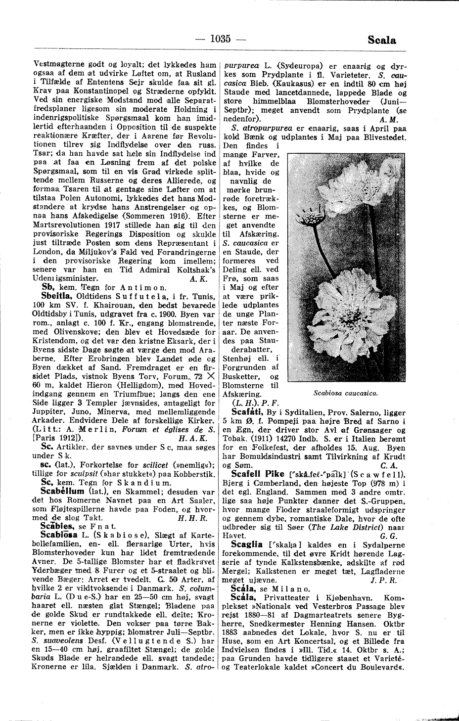 scanned image