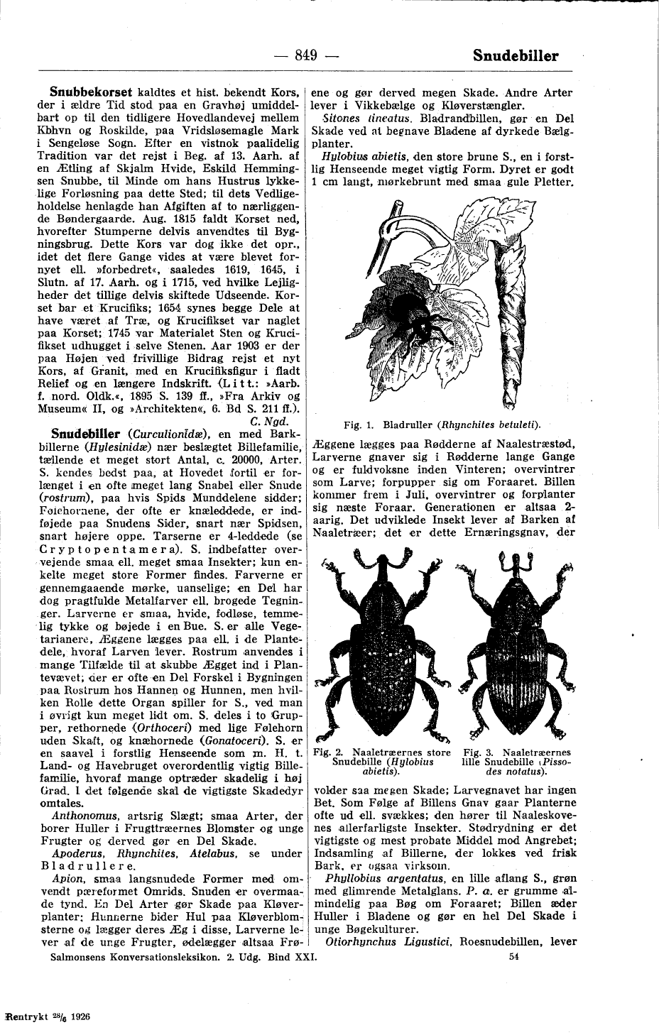 scanned image