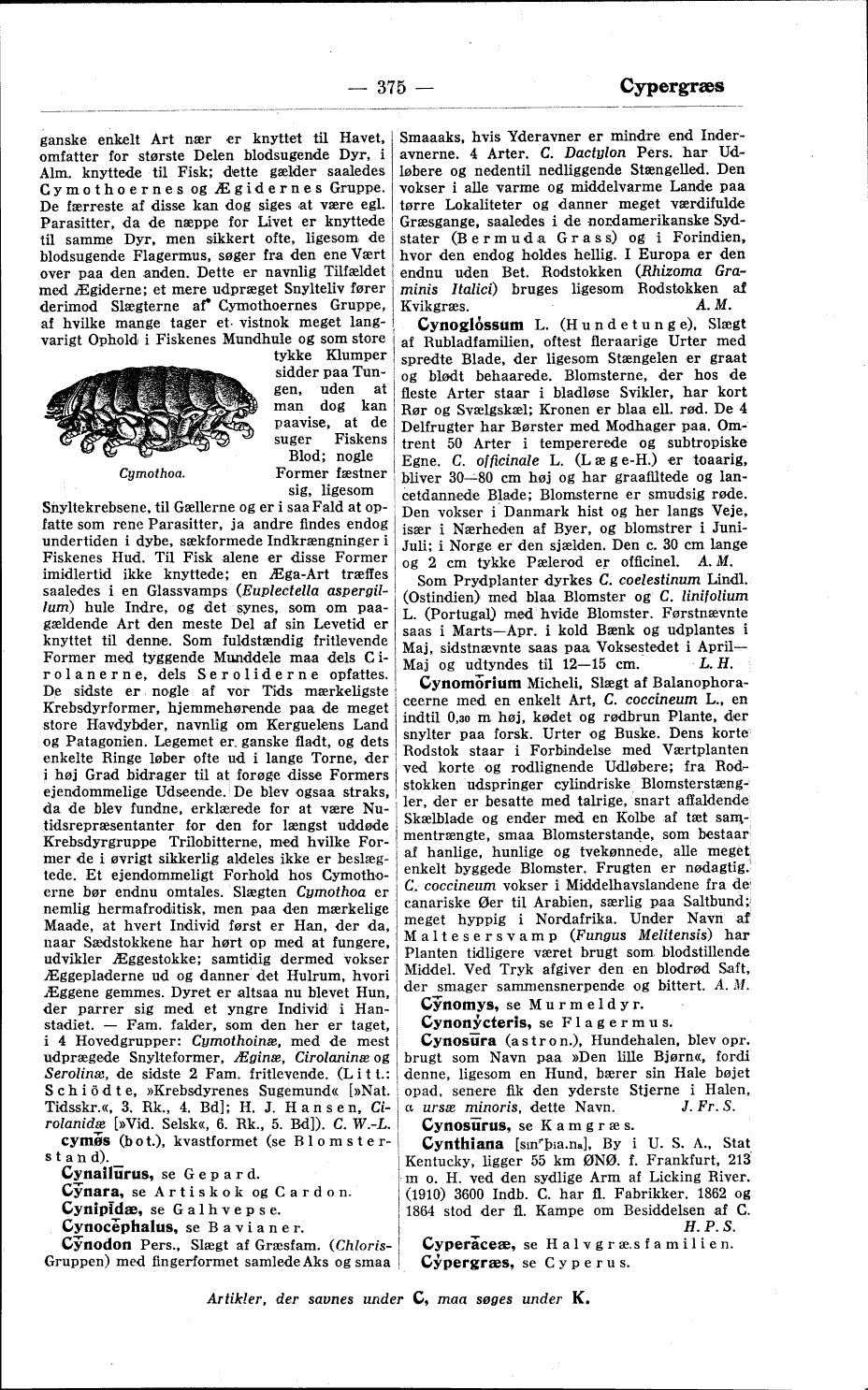 scanned image