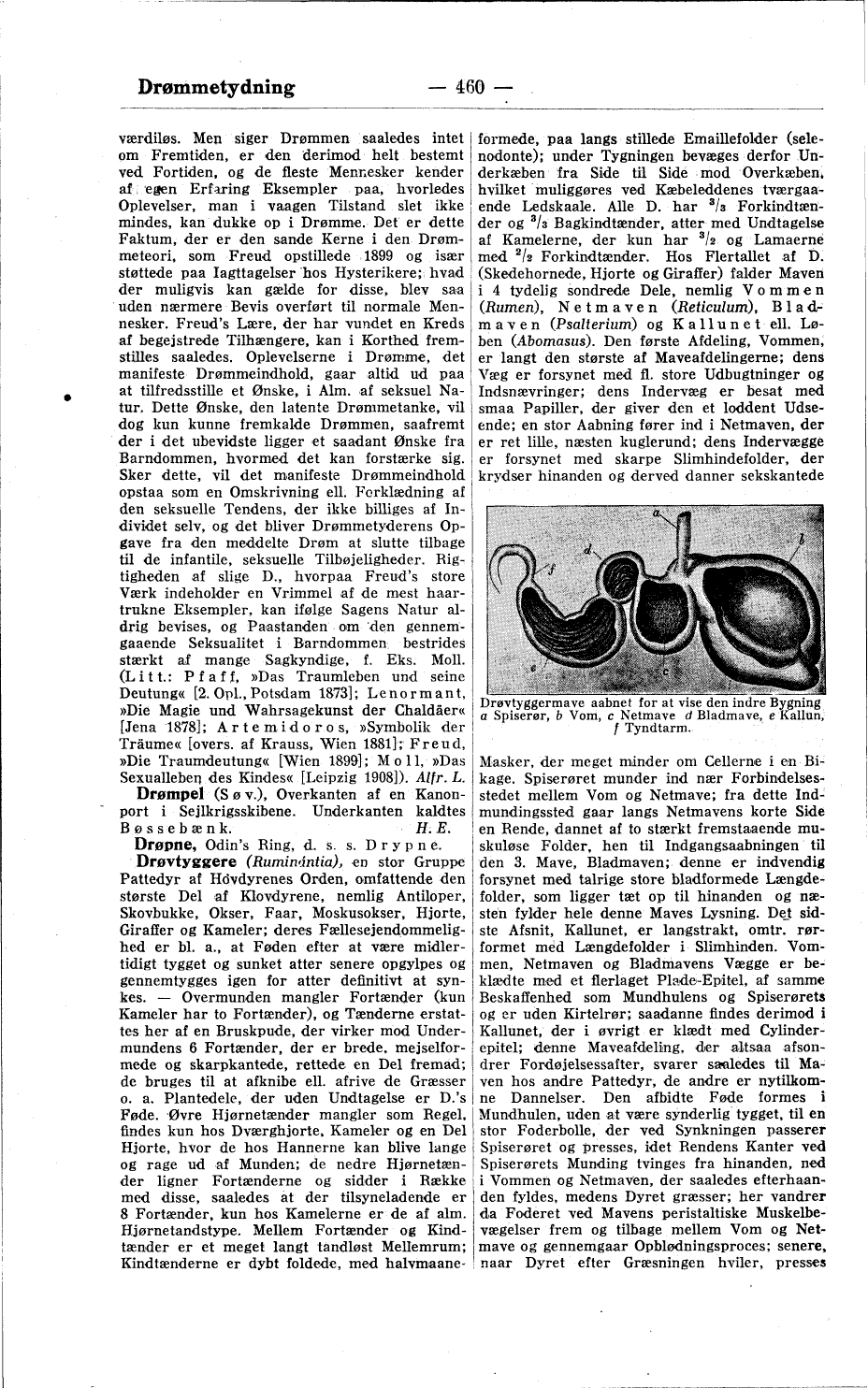 scanned image