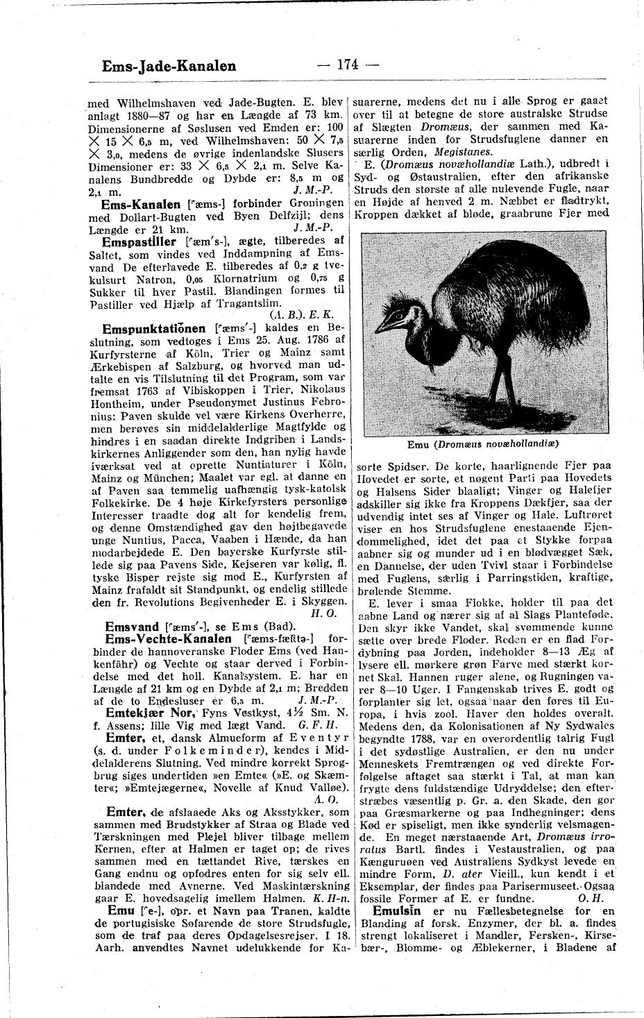 scanned image