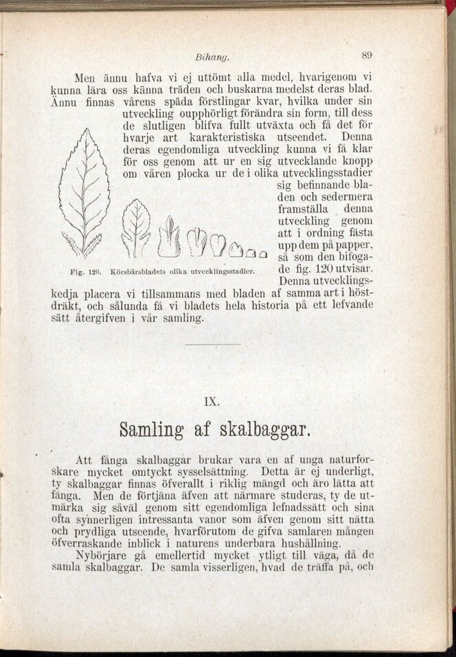 scanned image