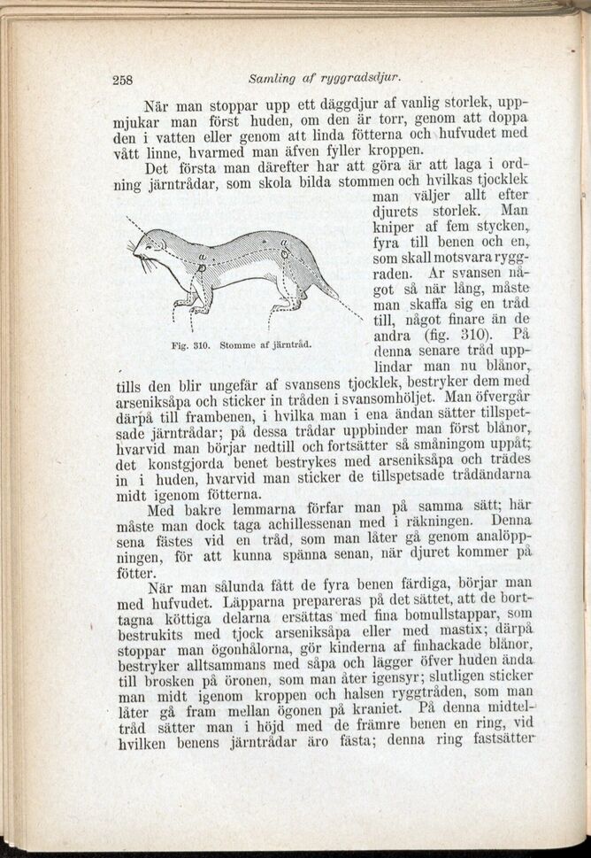 scanned image