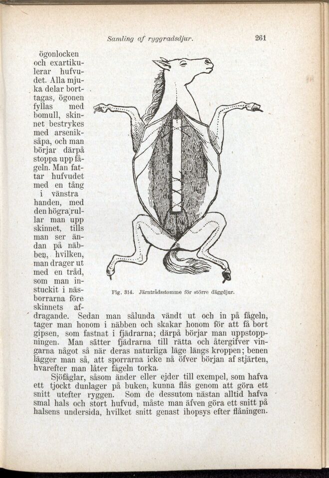scanned image