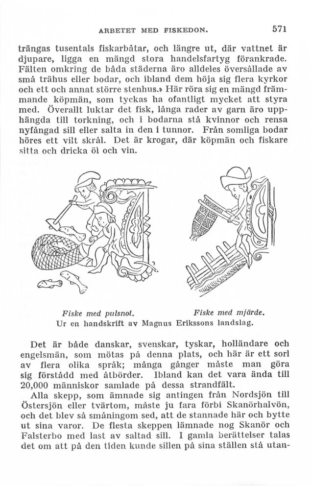 scanned image