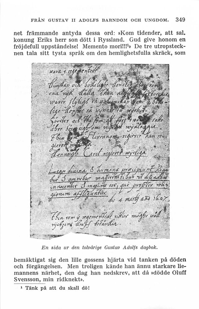 scanned image