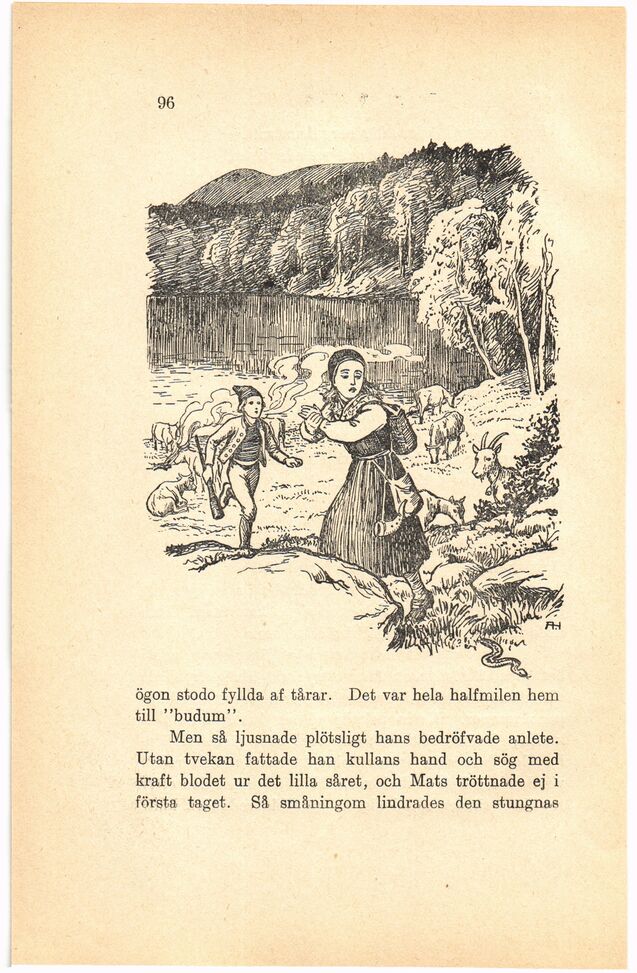 scanned image
