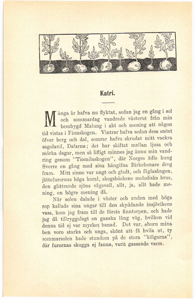 scanned image