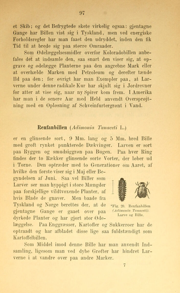 scanned image