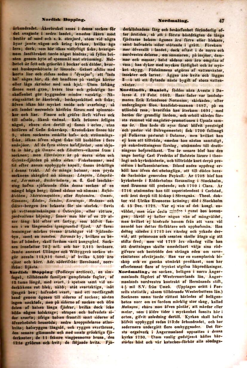 scanned image