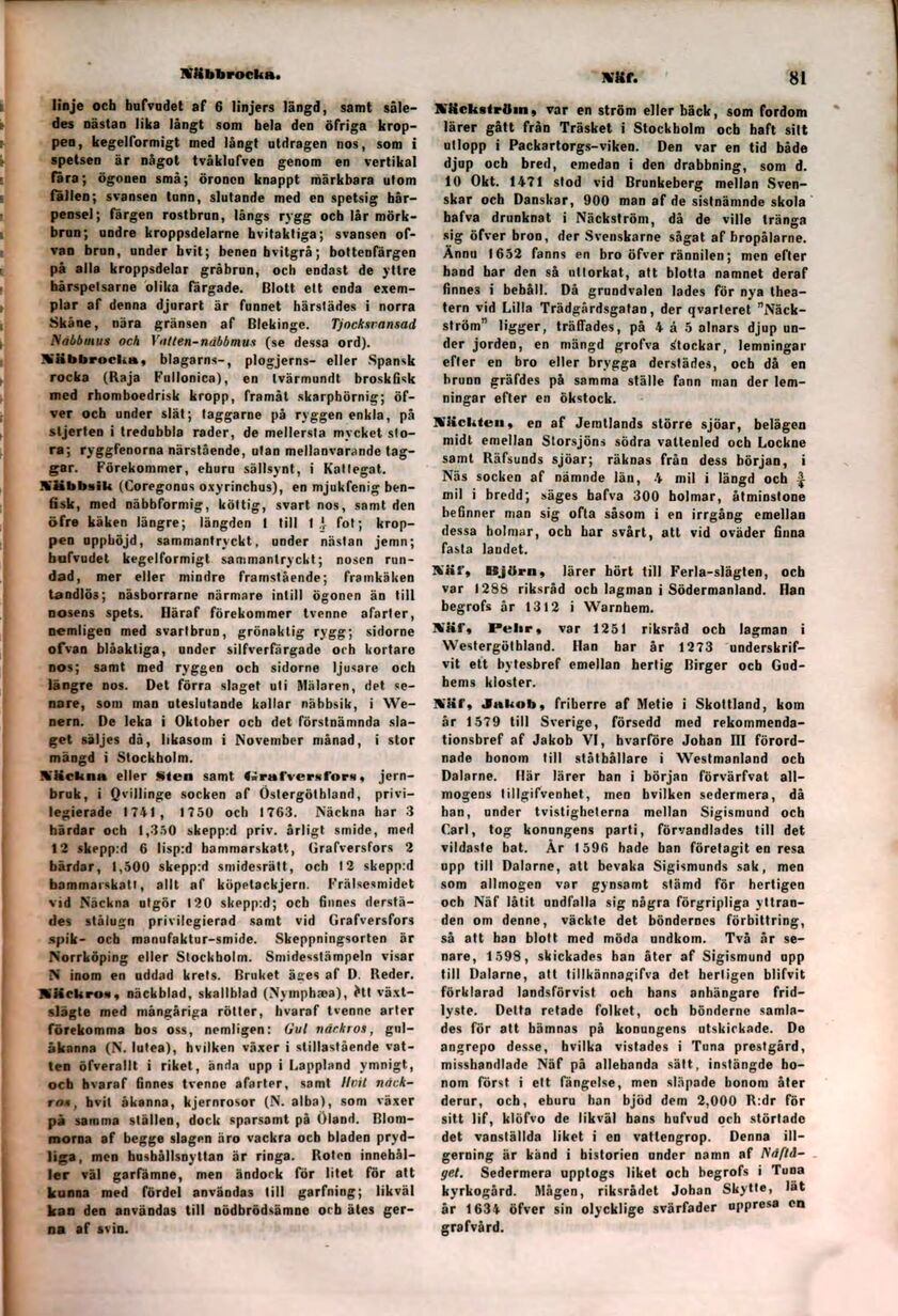 scanned image