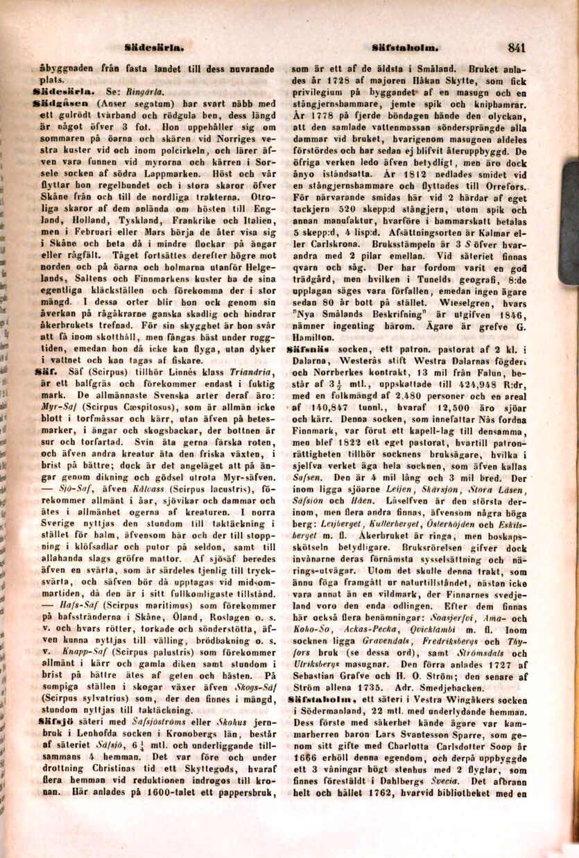 scanned image