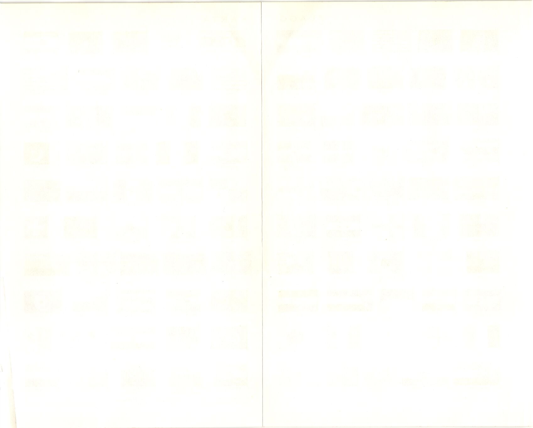 scanned image