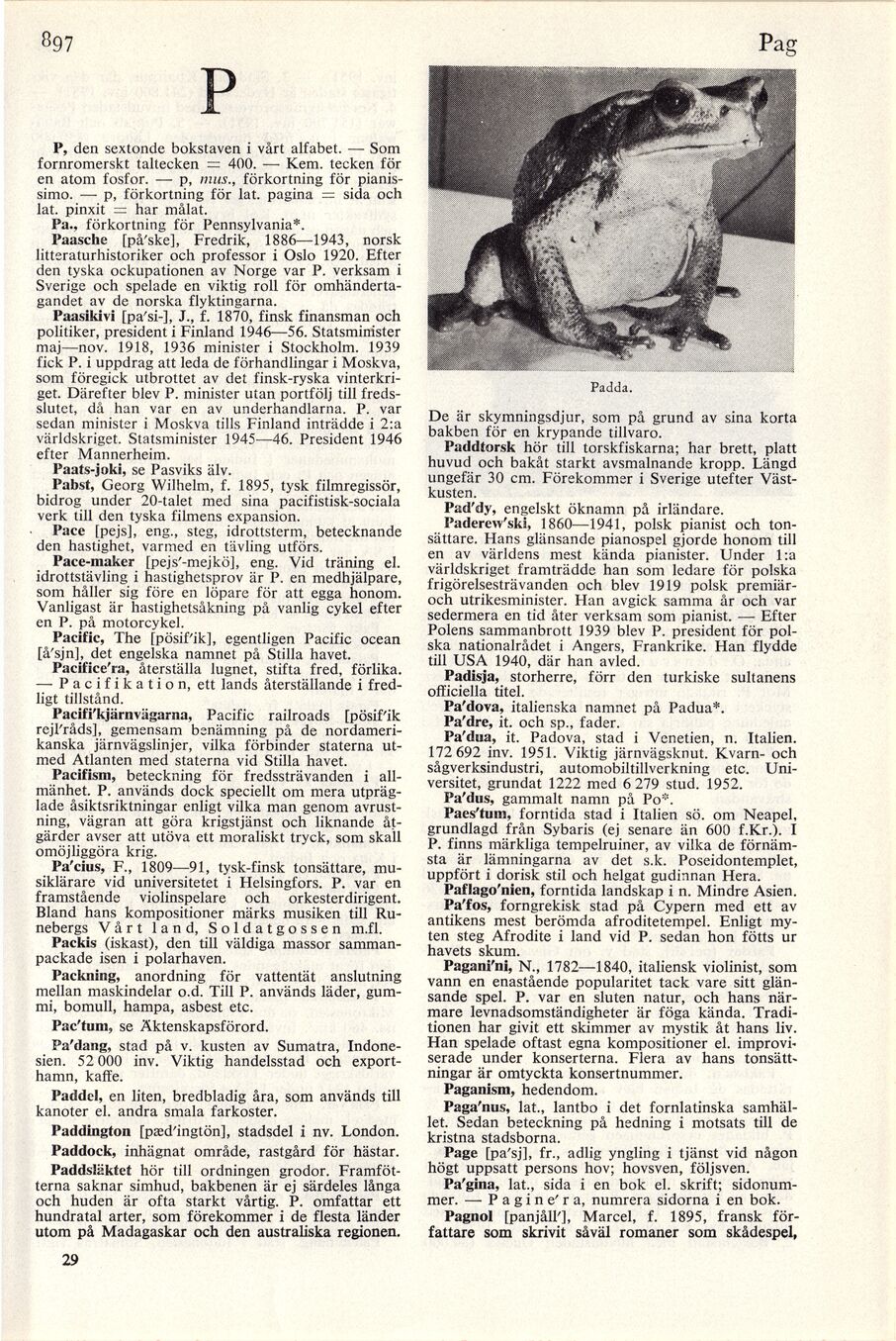 scanned image