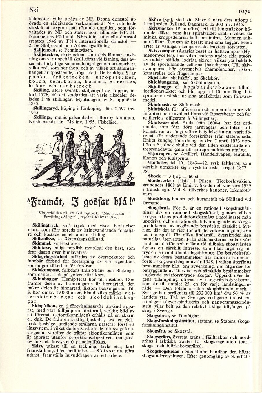 scanned image