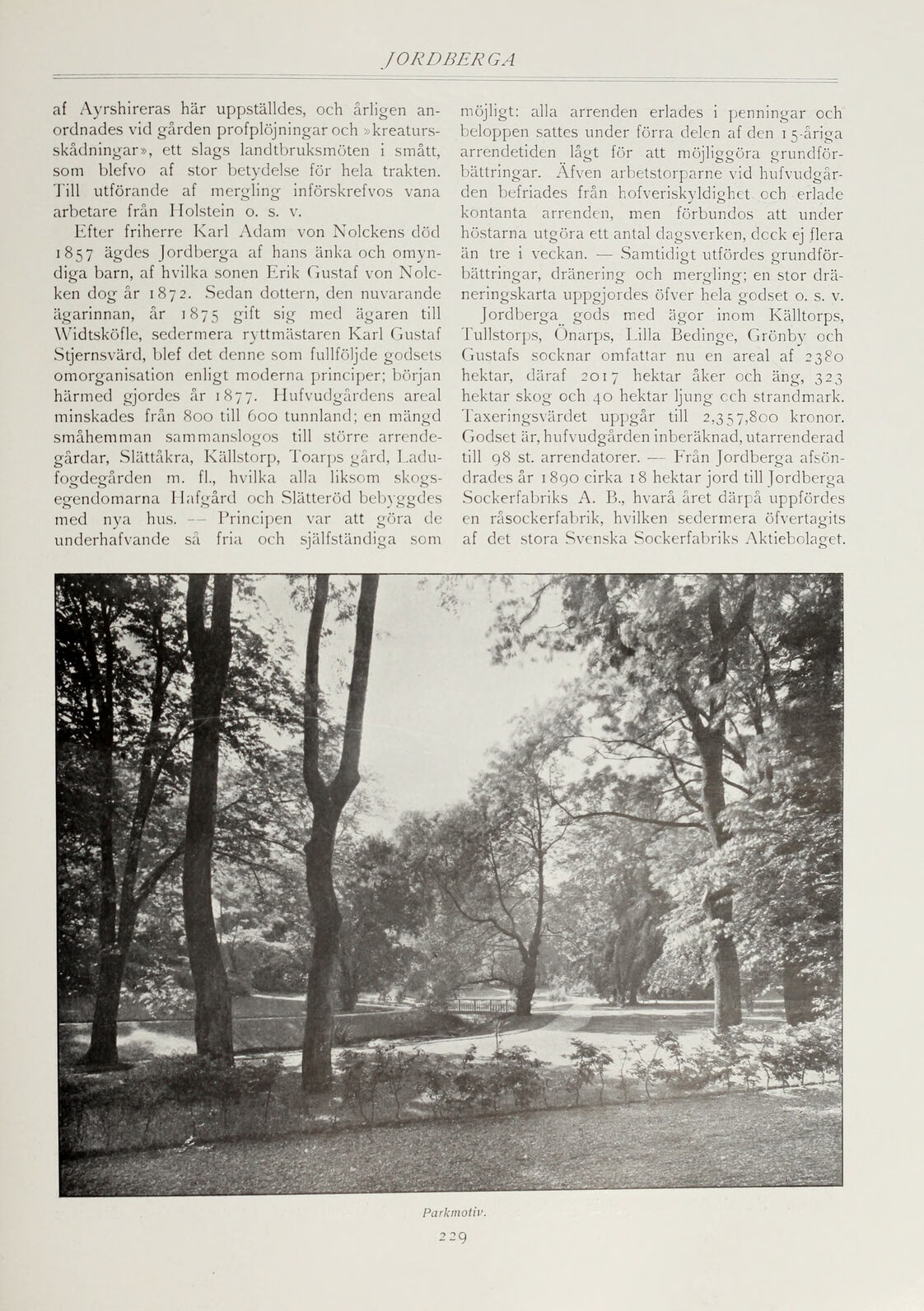 scanned image