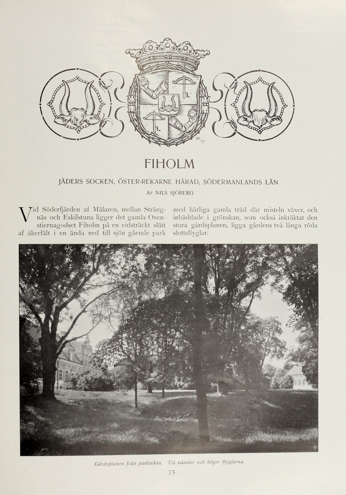 scanned image