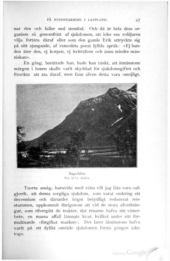 scanned image