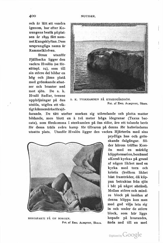 scanned image