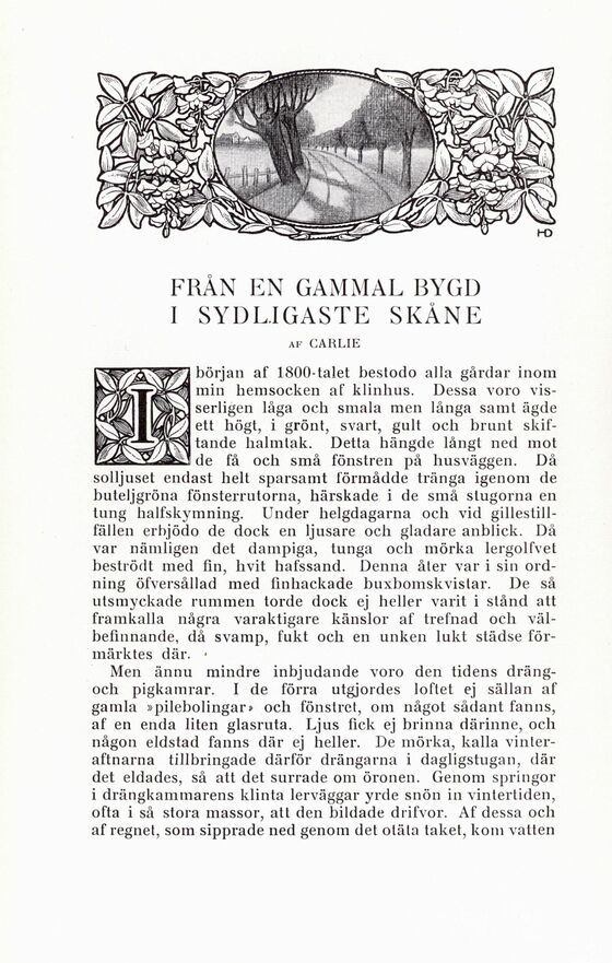 scanned image