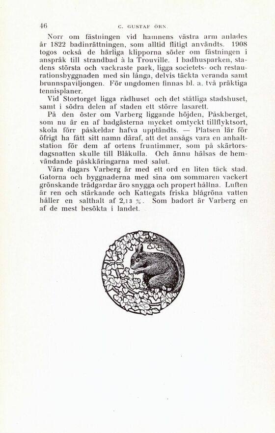 scanned image