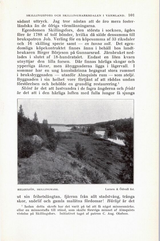 scanned image