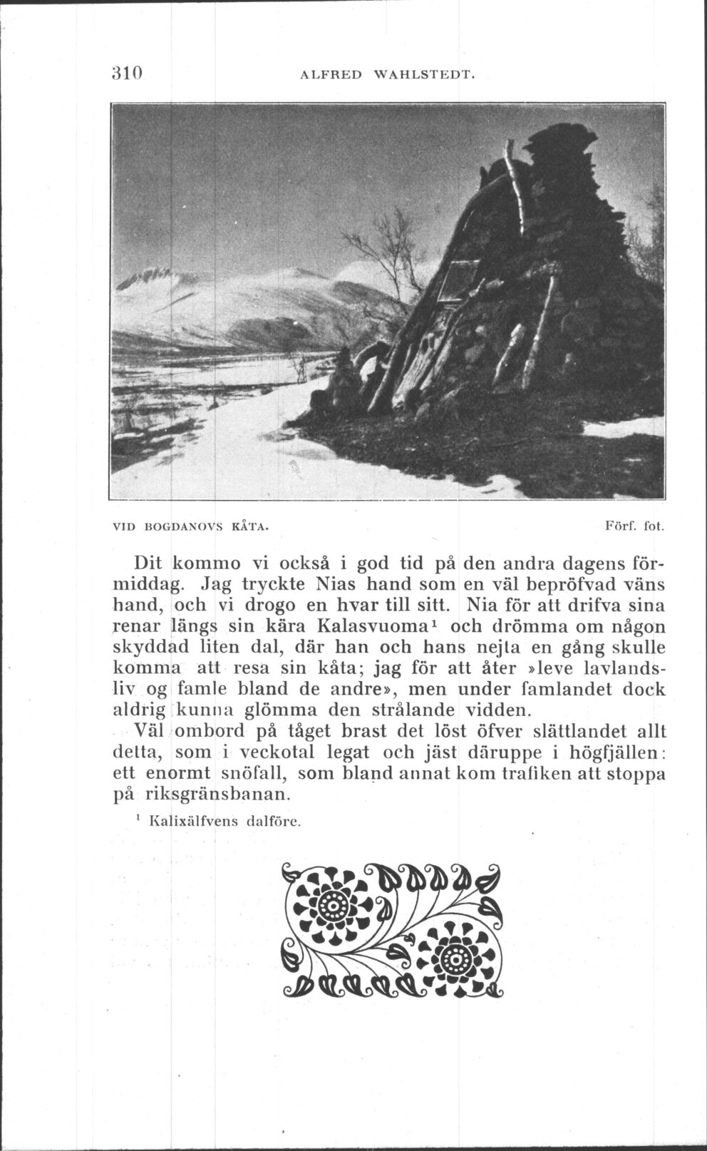 scanned image