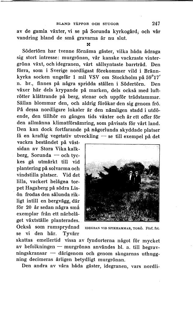 scanned image