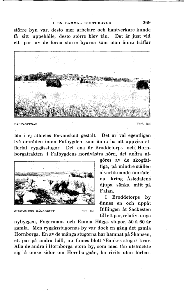 scanned image
