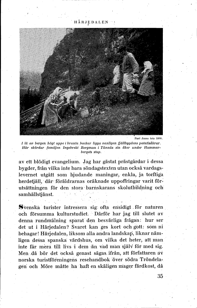 scanned image