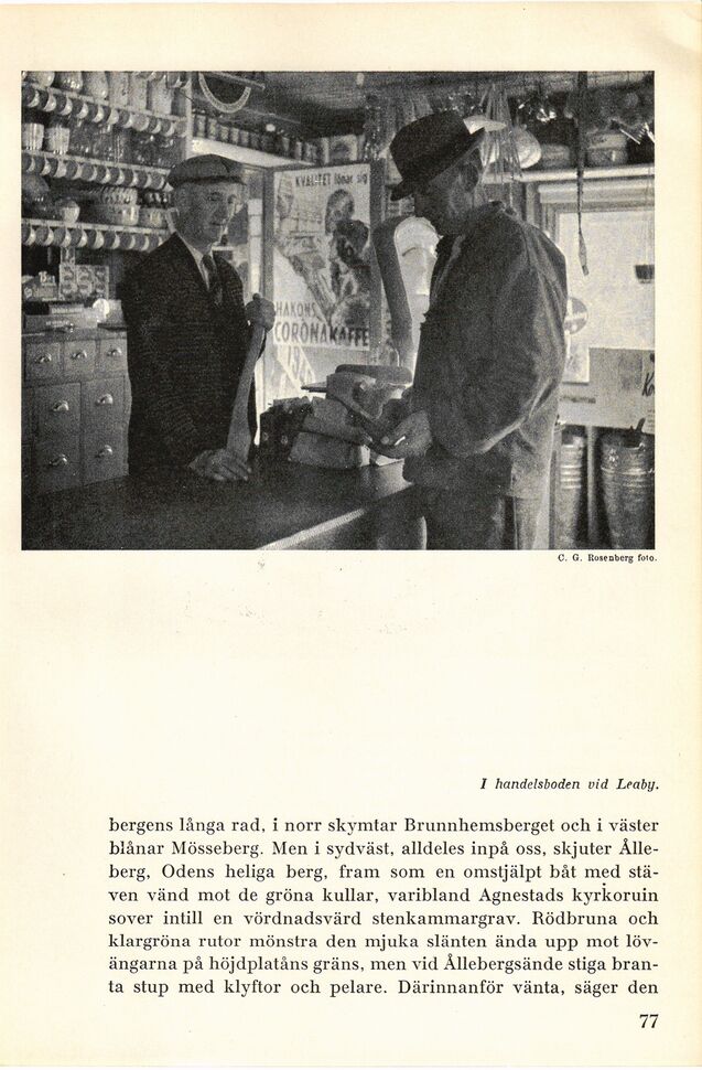 scanned image
